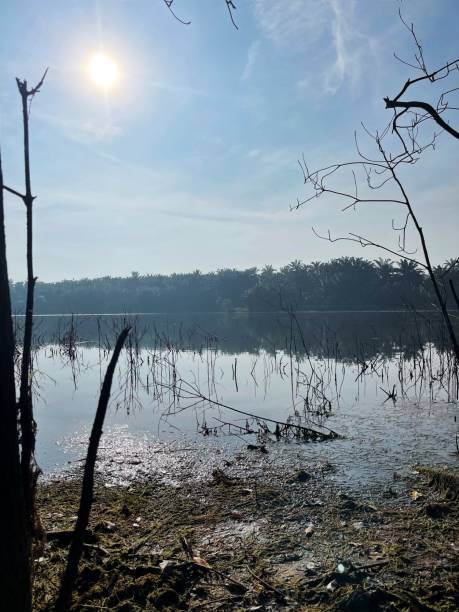 istock lake in the morning with beautiful sky. 1781744379