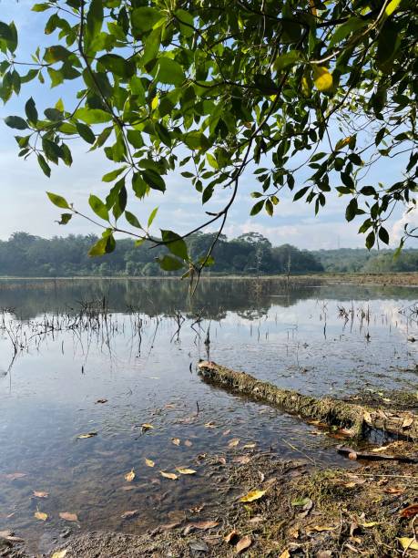 lake in the morning with beautiful background