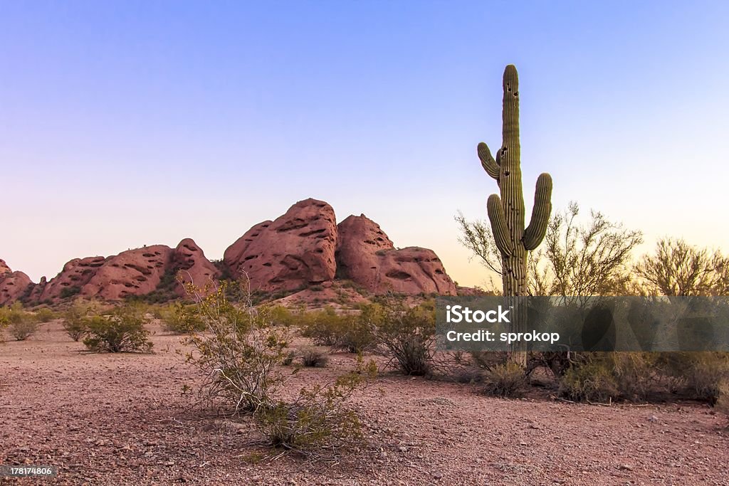 Parque Papago - Foto de stock de Desierto libre de derechos