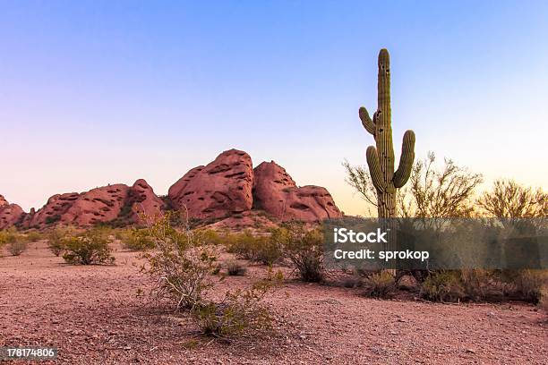 パパゴパーク - 砂漠のストックフォトや画像を多数ご用意 - 砂漠, サボテン, アリゾナ州