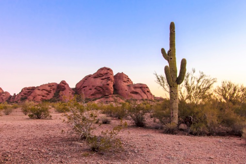 The sandstone buttes of Papago Park in Phoenix, Arizona surrounded by the landscape of the sonoran desert.