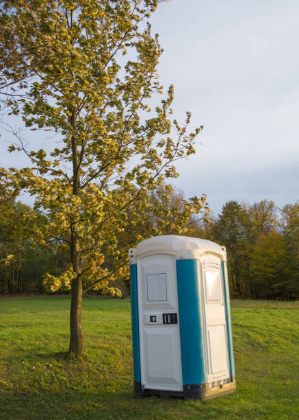 Cтоковое фото Синяя пластиковая туалетная кабина в лесу на закате