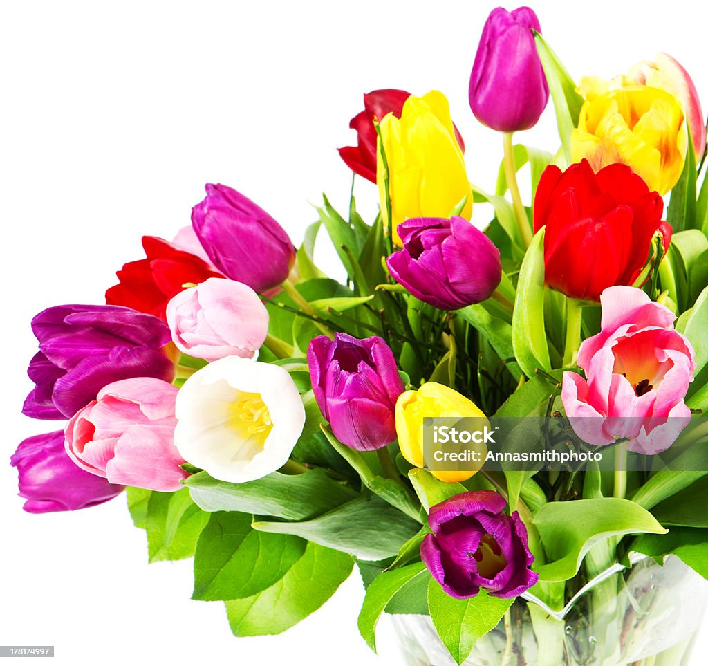 Vase full of tulips Vase full of tulips isolated on white background April Stock Photo