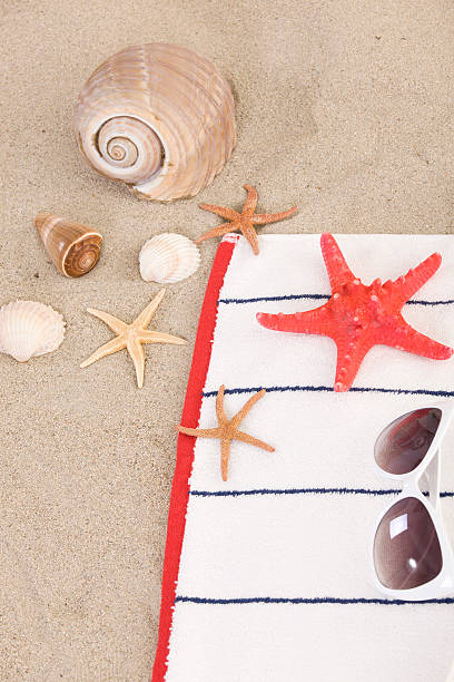 istock beach items on sand for fun summer holiday 178175617