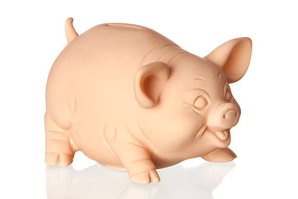 istock Piggy bank with reflection on the floor 178176030
