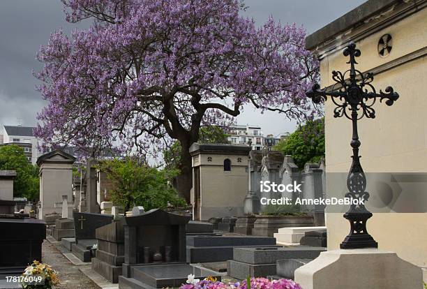 Photo libre de droit de Arbre Magnifique Sur Un Cimetière Catalpa banque d'images et plus d'images libres de droit de Antique - Antique, Caillou, Chagrin