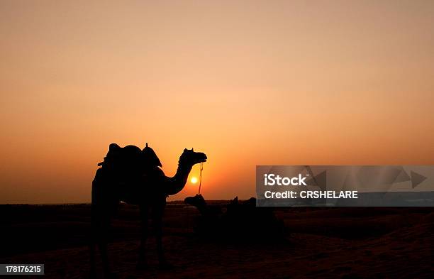 Kamele In Der Wüste Und Dünen Stockfoto und mehr Bilder von Abenddämmerung - Abenddämmerung, Abenteuer, Anhöhe