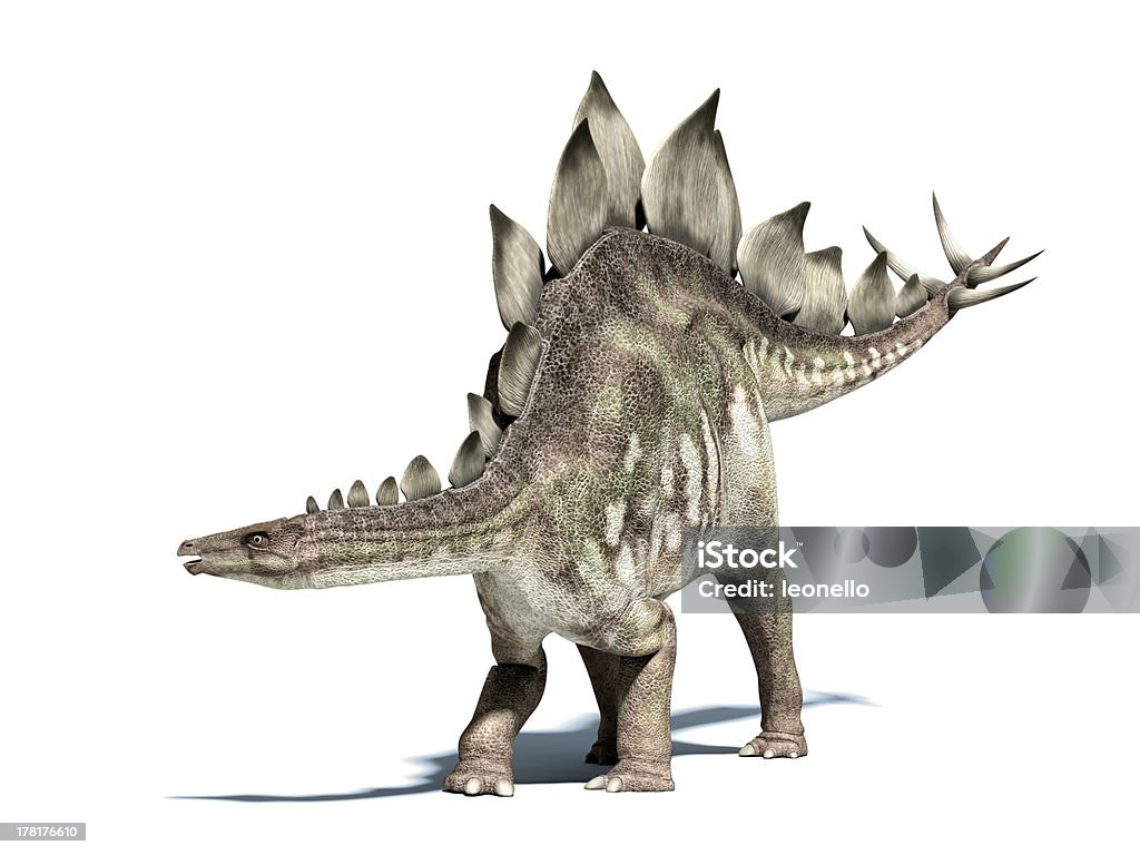 Stegosaurus dinosaur. Isolated on white, clipping path including.. Stegosaurus dinosaur. Very well detailed and scientifically correct. Isolated on white, with drop shadow and clipping path. Stegosaurus Stock Photo