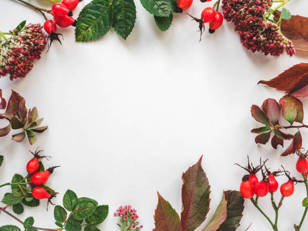 istock Bright pumpkins, leaves, berries and flowers on the table. 1781773337