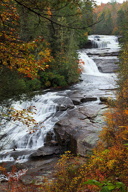 potrójne upadki w dupont state forest - triple falls obrazy zdjęcia i obrazy z banku zdjęć