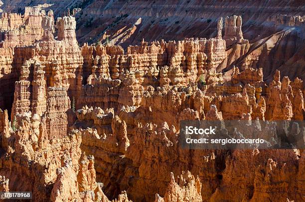 Bryce Canyon - Fotografias de stock e mais imagens de Ao Ar Livre - Ao Ar Livre, As Américas, Bryce Canyon