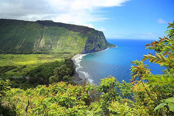 istock Coast of Hawaii - Waipio Valley 178179756