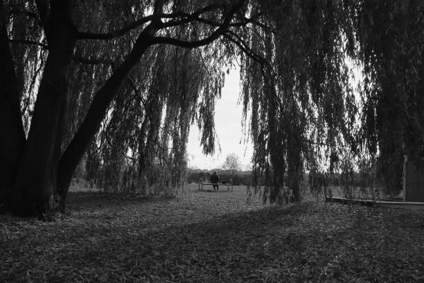 istock Black and white landscape. Wild forest with mystical lawns and trails. 1781797730