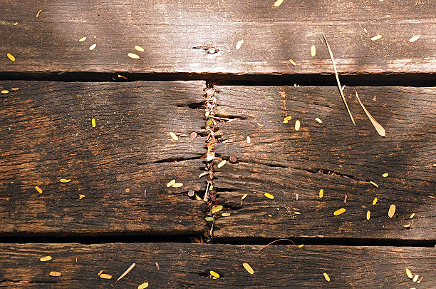 istock Decaying wooden planks with nails 178180006