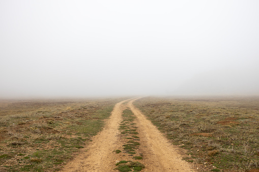 Misty dirt road