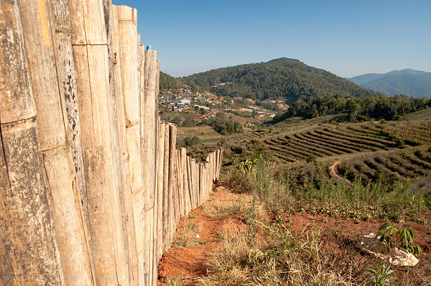 istock Old bamboo fence in rural area 178180617