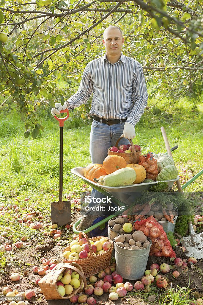 Homme avec des légumes harvest - Photo de Automne libre de droits