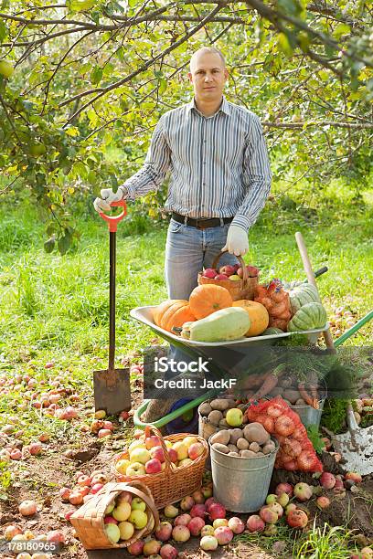 Photo libre de droit de Homme Avec Des Légumes Harvest banque d'images et plus d'images libres de droit de Automne - Automne, Légume, Adulte