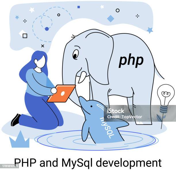 Php And Mysql Development Software Website Developer Programmer Service ...