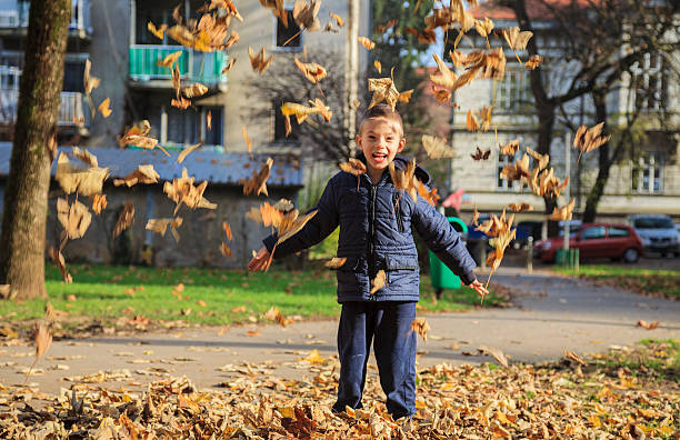 Boy playing with autumn leaves stock photo