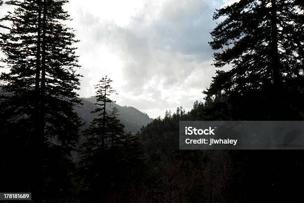 雲グレートスモーキー Mtns 国立公園tn - アメリカ南部のストックフォトや画像を多数ご用意 - アメリカ南部, グレートスモーキー山脈国立公園, 人物なし