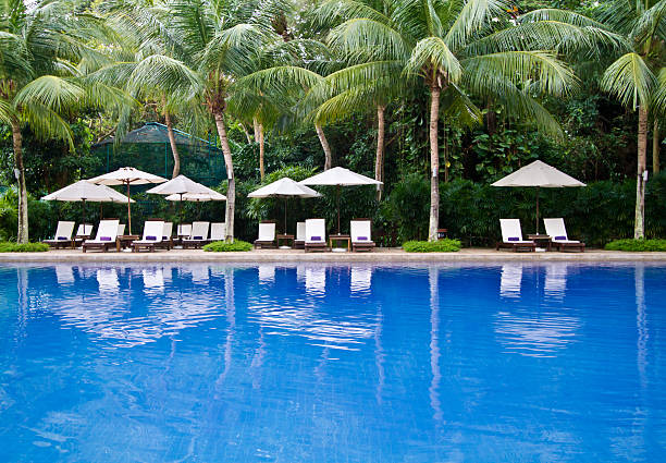 istock Swimming pool with coconut trees and loungers 178181860