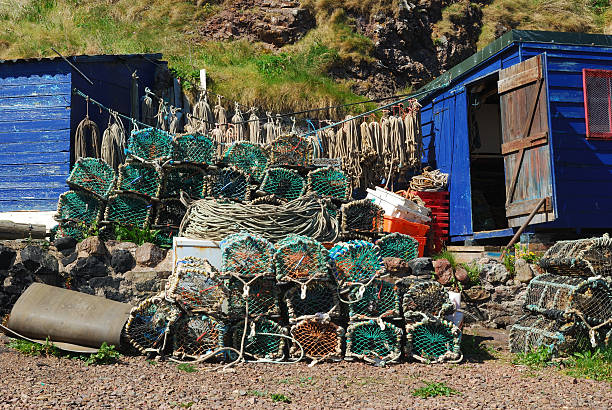 lobster pots, ropes, boxes and hut at St. Abbs harbour stock photo