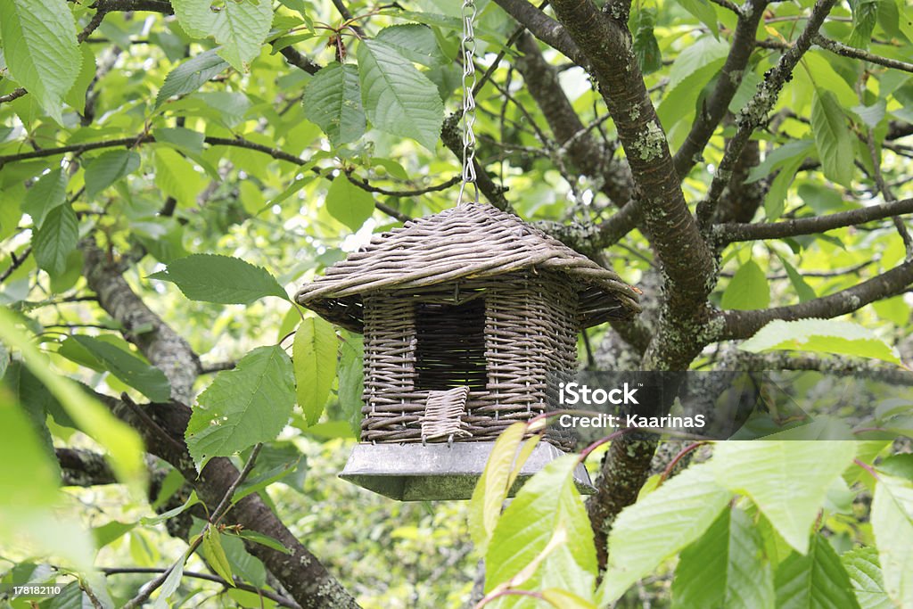 Casa de Pássaro - Foto de stock de Animal royalty-free