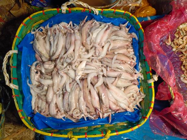 istock Sea fish in a market. 1781832812