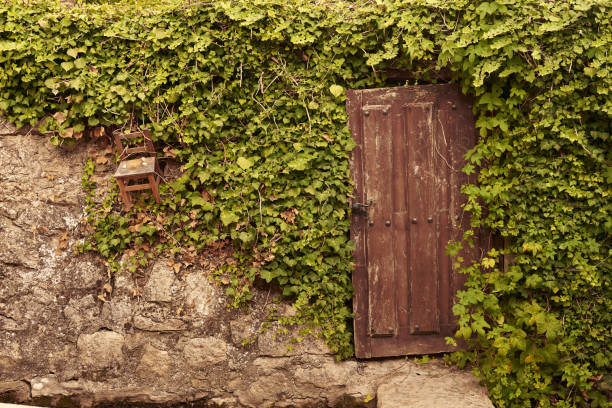 istock Door to the garden 1781852247