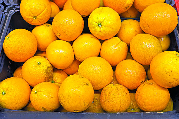 istock Organic oranges from Portugal 178185572