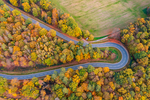 Bird's-eye view of a winding road through an autumn forest in the Taunus near Obernhof/Germany on the Lahn