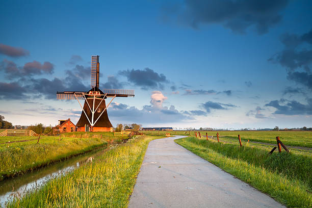 uroczy wiatrak rano słońce - netherlands windmill farm farmhouse zdjęcia i obrazy z banku zdjęć