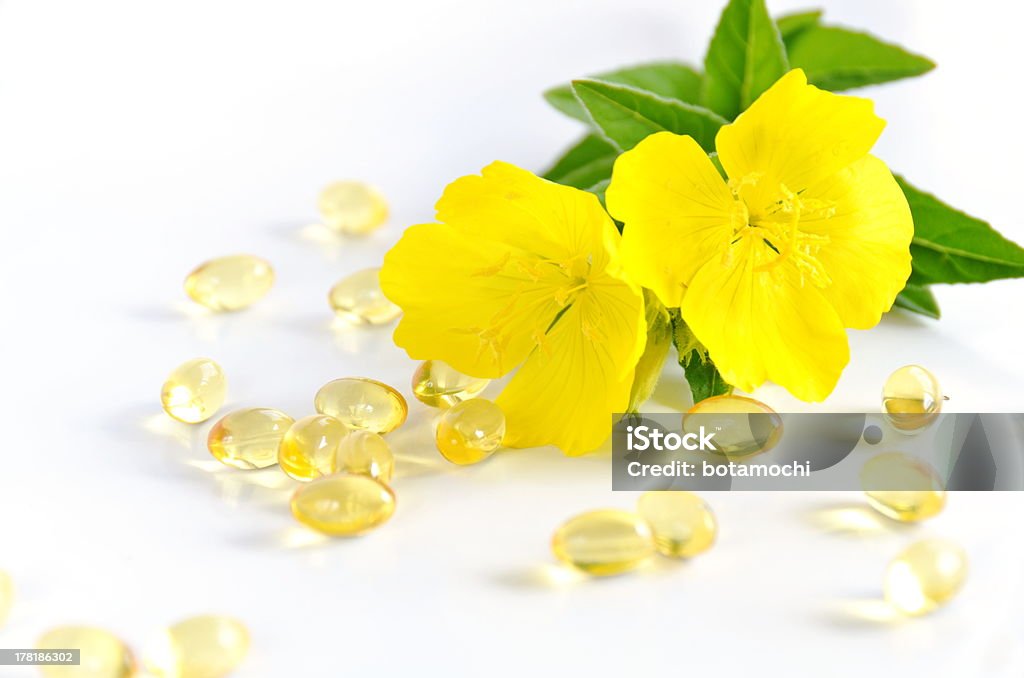 evening primrose with capsules evening primrose flower with capsules Capsule - Medicine Stock Photo