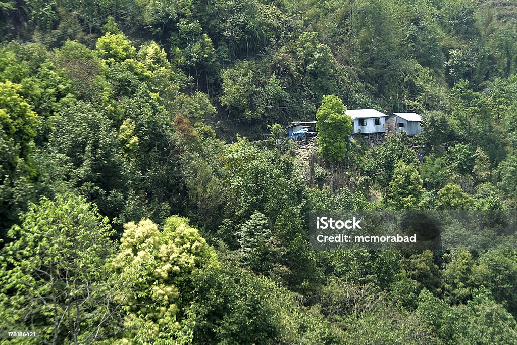 Forest Homes Residing in the midst of lush green forest Animal Stock Photo