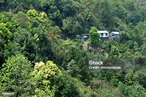 Forest Homes Stock Photo - Download Image Now - Animal, Bird, Close-up