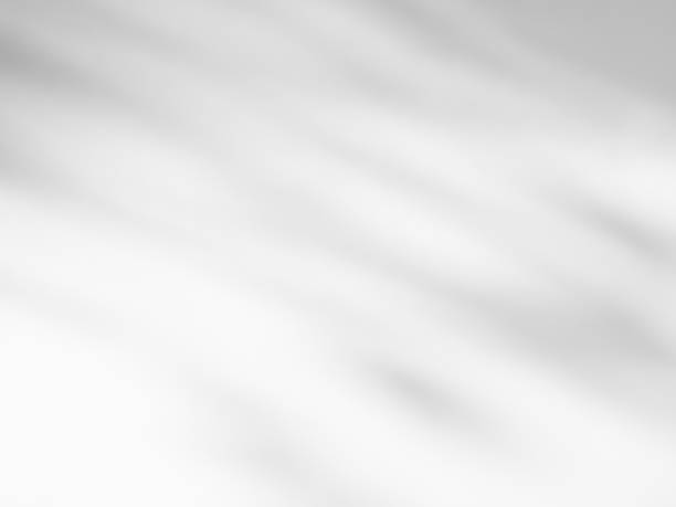 istock Shadow Effect Background Mockcup Black Frame Shade Wall White Sun Overlay Leaves Plant Abstract Sunlight Nature Leaf Branch Tree Tropic Summer Backdrop Minimal Grey Cement Floor Template Room 3d Bg. 1781868944