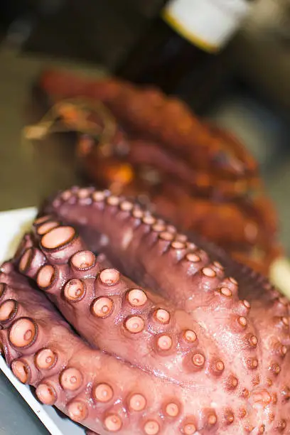 Photo of octopus