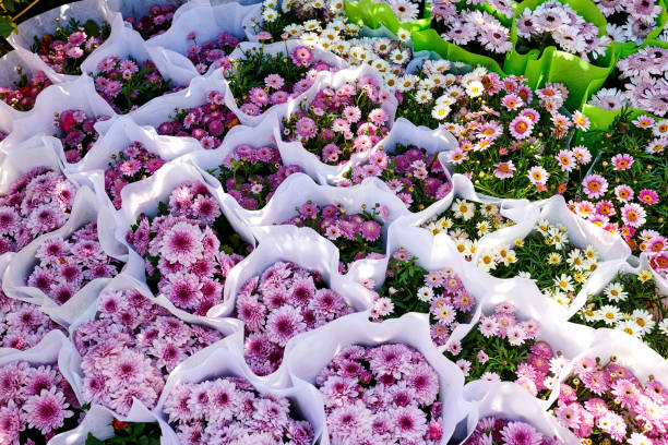 istock Large Group of Flowers Bunch Backgrounds 1781879744
