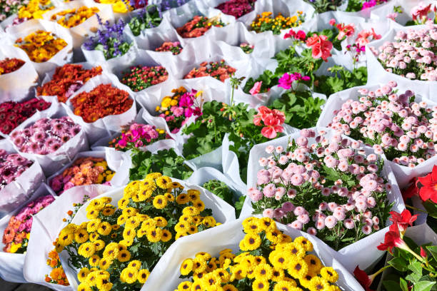 istock Large Group of Flowers Bunch Backgrounds 1781882617