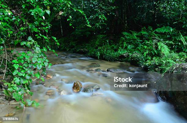 Foto de Rio De Floresta e mais fotos de stock de Appalachia - Appalachia, Azul, Beleza