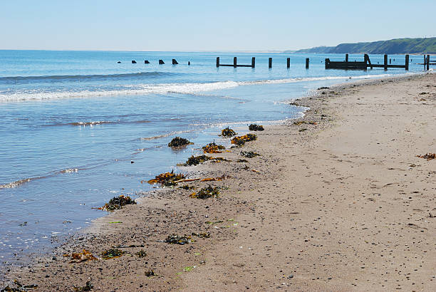 glistening sea, beach and wooden barrier at Spittal, Northumberland stock photo