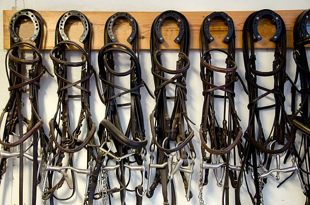 istock Accessories for equestrian sports. 178189226