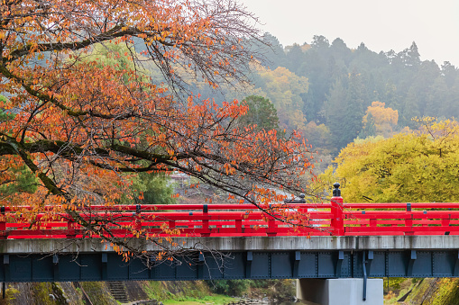 Nakabashi bridge and Miyagawa river in autumn season. Traditional japanese red bridge in Takayama's historic old town, Gifu Prefecture, Japan.