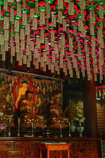 lotus lantern in buddhism