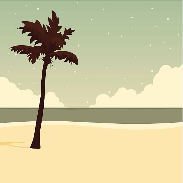 Vector palm on beach vector art illustration