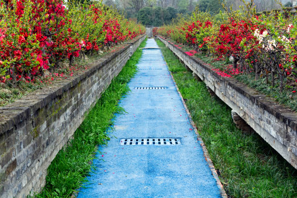 In the garden full of flowers and plants, there is a blue trail.