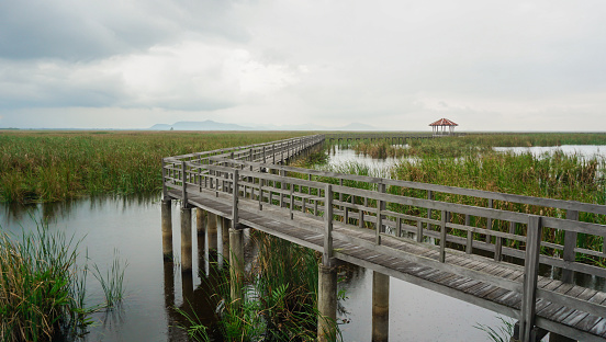 Wooden walkway and pavilion in the middle of freshwater marsh, blue sky, cloudy and prohibition Signs. Sam Roi Yot Freshwater Marsh or Bueng Bua Khao Sam Roi Yot National Park in Thailand.