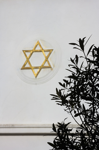 Golden Star of David Jewish symbol on Shul wall with olive tree silhouette