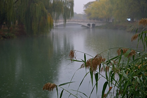 Beijing is city of most parks in whole world. Public park in Beijing is kind of way to people escape normal busy life.